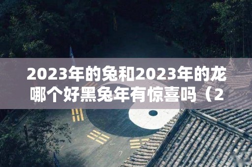 2023年的兔和2023年的龙哪个好黑兔年有惊喜吗（2023年是黑兔年吗）