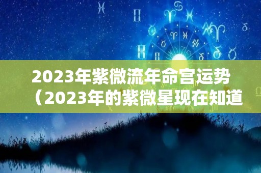 2023年紫微流年命宫运势（2023年的紫微星现在知道自己是紫微星了吗?）