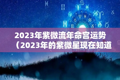 2023年紫微流年命宫运势（2023年的紫微星现在知道自己是紫微星了吗?）