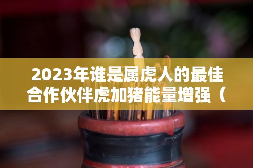 2023年谁是属虎人的最佳合作伙伴虎加猪能量增强（2023年最吉利的四大属相）