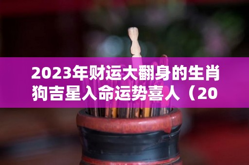 2023年财运大翻身的生肖狗吉星入命运势喜人（2023年属狗的运势和财运）