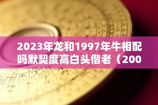 2023年龙和1997年牛相配吗默契度高白头偕老（2000属龙和1997属牛）