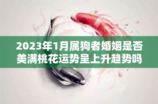 2023年1月属狗者婚姻是否美满桃花运势呈上升趋势吗（2023年属狗）