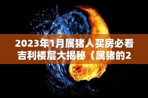 2023年1月属猪人买房必看吉利楼层大揭秘（属猪的2023年）