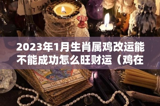 2023年1月生肖属鸡改运能不能成功怎么旺财运（鸡在2023年运气如何）