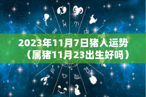 2023年11月7日猪人运势（属猪11月23出生好吗）