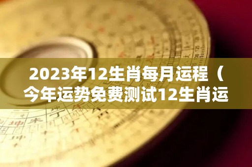 2023年12生肖每月运程（今年运势免费测试12生肖运势）