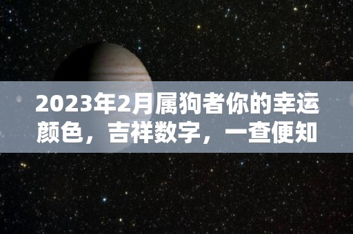 2023年2月属狗者你的幸运颜色，吉祥数字，一查便知！（2023年属狗的运势和财运怎么样）