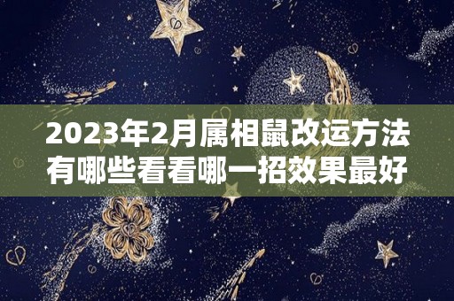 2023年2月属相鼠改运方法有哪些看看哪一招效果最好！（2023鼠的命运）