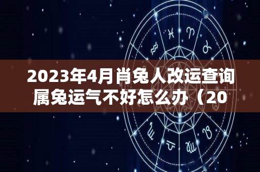 2023年4月肖兔人改运查询属兔运气不好怎么办（2023属兔人全年12个月运势）