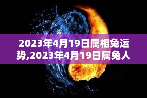 2023年4月19日属相兔运势,2023年4月19日属兔人的运势