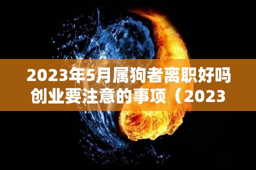 2023年5月属狗者离职好吗创业要注意的事项（2023年属狗人的人）