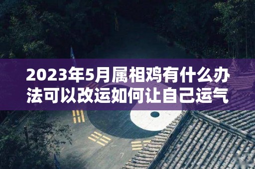 2023年5月属相鸡有什么办法可以改运如何让自己运气旺起来运气好（2023年属鸡人）