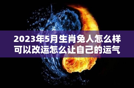 2023年5月生肖兔人怎么样可以改运怎么让自己的运气旺起来（2023年兔的五行）
