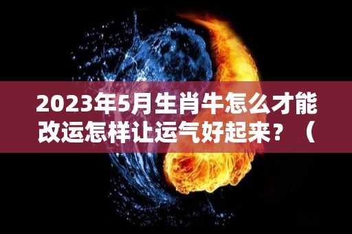 2023年5月生肖牛怎么才能改运怎样让运气好起来？（生肖牛2021年5月23日运势）