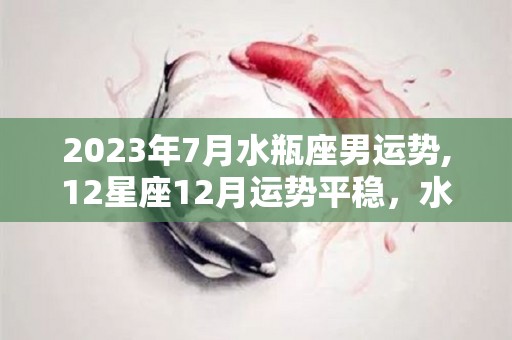 2023年7月水瓶座男运势,12星座12月运势平稳，水瓶座7月运势平稳