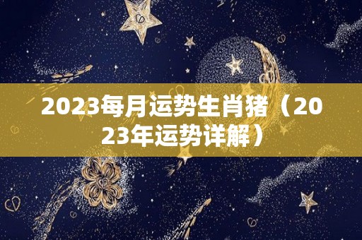 2023每月运势生肖猪（2023年运势详解）