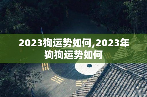 2023狗运势如何,2023年狗狗运势如何