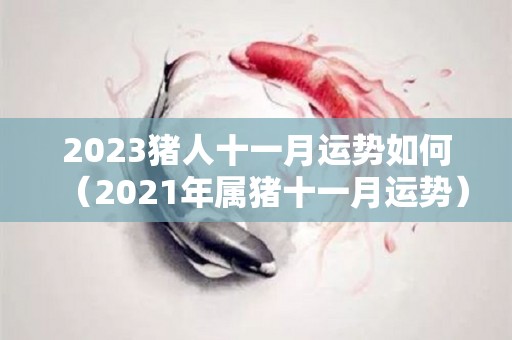 2023猪人十一月运势如何（2021年属猪十一月运势）