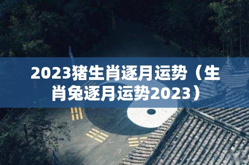 2023猪生肖逐月运势（生肖兔逐月运势2023）