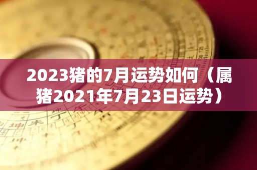 2023猪的7月运势如何（属猪2021年7月23日运势）