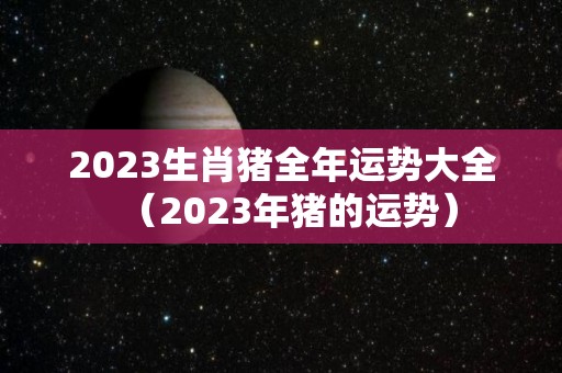 2023生肖猪全年运势大全（2023年猪的运势）