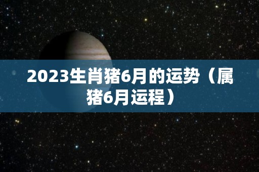 2023生肖猪6月的运势（属猪6月运程）