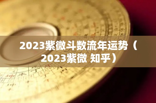 2023紫微斗数流年运势（2023紫微 知乎）