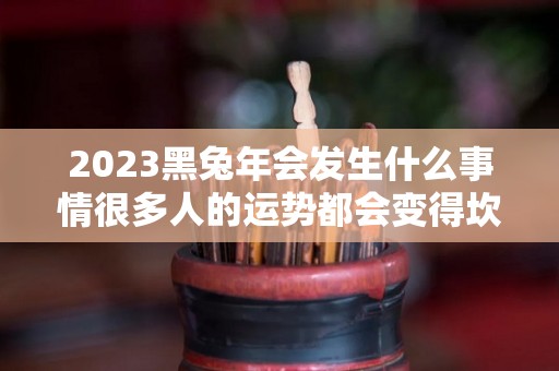 2023黑兔年会发生什么事情很多人的运势都会变得坎坷（2024黑兔）