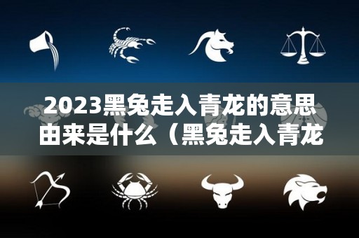 2023黑兔走入青龙的意思由来是什么（黑兔走入青龙2023年到2024）