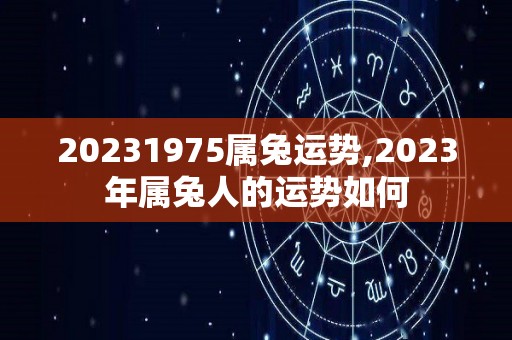 20231975属兔运势,2023年属兔人的运势如何