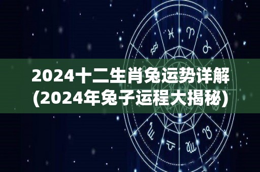 2024十二生肖兔运势详解(2024年兔子运程大揭秘)