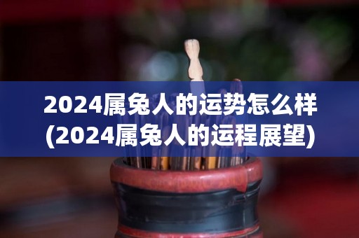 2024属兔人的运势怎么样(2024属兔人的运程展望)