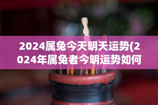 2024属兔今天明天运势(2024年属兔者今明运势如何？)