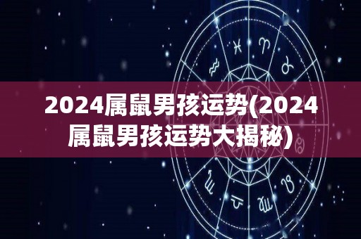 2024属鼠男孩运势(2024属鼠男孩运势大揭秘)