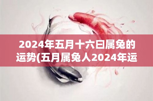 2024年五月十六曰属兔的运势(五月属兔人2024年运势大揭秘)