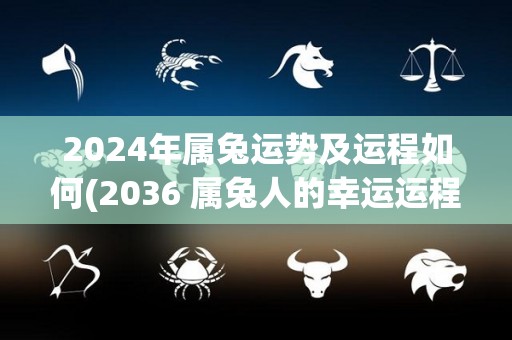 2024年属兔运势及运程如何(2036 属兔人的幸运运程展望)