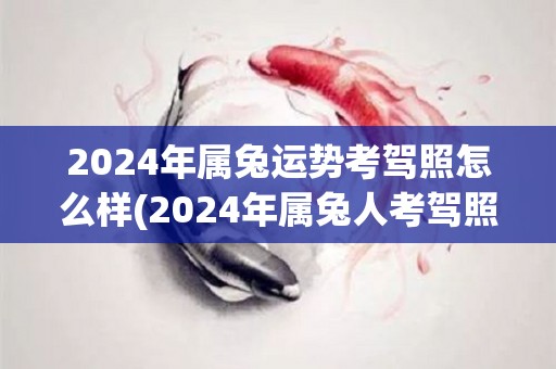 2024年属兔运势考驾照怎么样(2024年属兔人考驾照运势如何？)