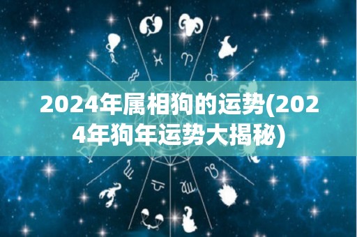 2024年属相狗的运势(2024年狗年运势大揭秘)