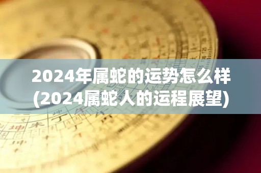 2024年属蛇的运势怎么样(2024属蛇人的运程展望)