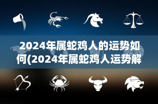 2024年属蛇鸡人的运势如何(2024年属蛇鸡人运势解析：事业步步高升，财运稳健有进展)