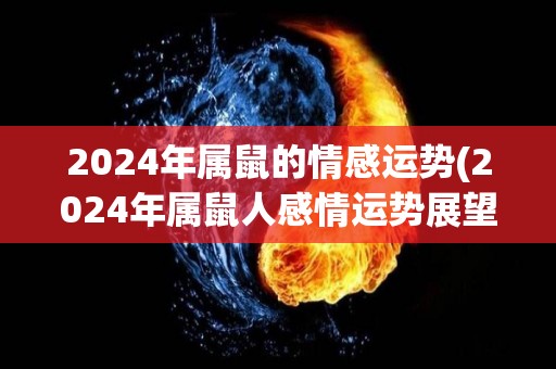 2024年属鼠的情感运势(2024年属鼠人感情运势展望)