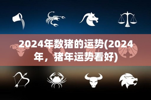 2024年数猪的运势(2024年，猪年运势看好)