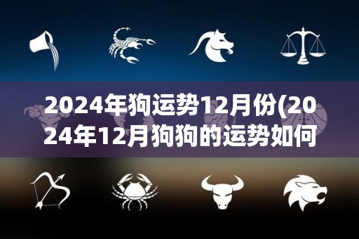 2024年狗运势12月份(2024年12月狗狗的运势如何？)