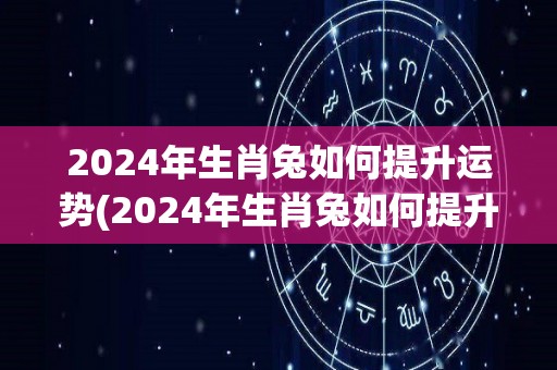 2024年生肖兔如何提升运势(2024年生肖兔如何提升运势，助你顺利迎来好运！)