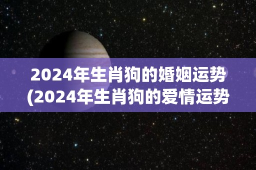 2024年生肖狗的婚姻运势(2024年生肖狗的爱情运势预测)