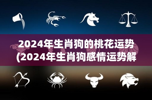 2024年生肖狗的桃花运势(2024年生肖狗感情运势解析)