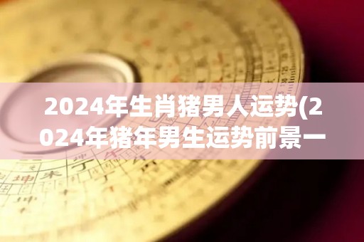 2024年生肖猪男人运势(2024年猪年男生运势前景一片美好)