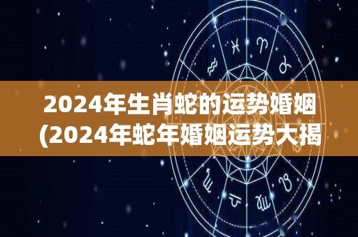 2024年生肖蛇的运势婚姻(2024年蛇年婚姻运势大揭秘！)