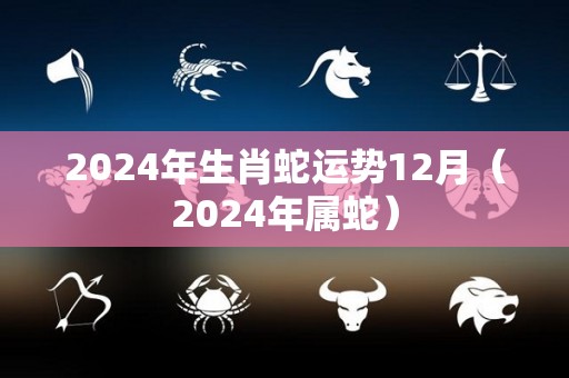 2024年生肖蛇运势12月（2024年属蛇）